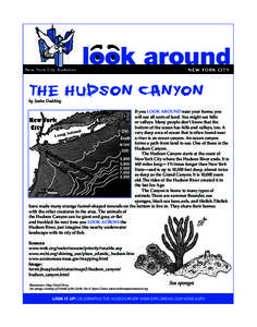 New York City Audubon	  New York City The Hudson Canyon by Sasha Dudding