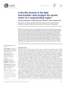 RESEARCH ARTICLE  elifesciences.org A Ras-like domain in the light intermediate chain bridges the dynein