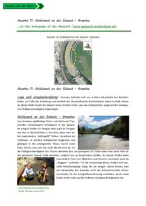 Geopark „Erz der Alpen“  Geosite 11: Goldwasch an der Salzach - Grasslau …on the homepage of the Geopark (www.geopark-erzderalpen.at) Geosite 11) Goldwasch an der Salzach –Grasslau