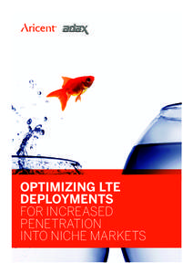 OPTIMIZING LTE DEPLOYMENTS FOR INCREASED PENETRATION INTO NICHE MARKETS