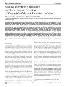 PLoS BIOLOGY  Atypical Membrane Topology and Heteromeric Function of Drosophila Odorant Receptors In Vivo Richard Benton1, Silke Sachse1¤, Stephen W. Michnick2, Leslie B. Vosshall1*