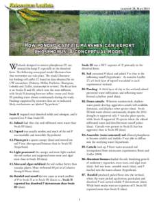 leaflet 28, May[removed]How ponded cattail marshes can export phosphorus: A conceptual model  W