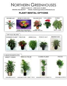 NORTHERN GREENHOUSES 1800 W. LAKE ST. – CHICAGO, ILPHONEEMAIL:   PLANT RENTAL OPTIONS
