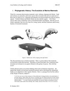 Case Studies in Ecology and Evolution  DRAFT 1 Phylogenetic History: The Evolution of Marine Mammals Think for a moment about marine mammals: seals, walruses, dugongs and whales. Seals