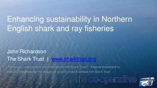 Enhancing sustainability in Northern English shark and ray fisheries John Richardson The Shark Trust | www.sharktrust.org All images and graphics are copyright to the Shark Trust? Anyone interested in copying/reproducing