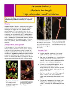Japanese barberry (Berberis thunbergii) Hoja informativa para Propietarios Tips para identificar, controlar, y monitorear Japanese barberry (Berberis thunbergii) en su propiedad.  Historia