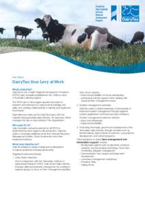 Fact Sheet:  DairyTas:Your Levy at Work What is DairyTas? DairyTas is one of eight Regional Development Programs (RDPs) Dairy Australia established in the 1990s in each