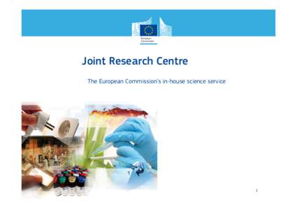 Joint Research Centre The European Commission’s in-house science service 1  Digital Games for Empowerment & Inclusion (DGEI)
