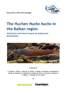 Study Series within the Campaign:  The Huchen Hucho hucho in the Balkan region Distribution and future impacts by hydropower development