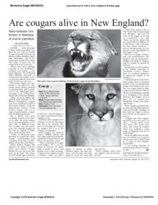 Berkshire EagleCopy Reduced to %d%% from original to fit letter page Are cougars alive in New England? Mass Audubon talk