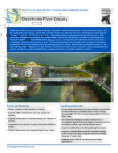 PUGET SOUND NEARSHORE ECOSYSTEM RESTORATION PROJECT (PSNERP) POTENTIAL RESTORATION SITES Deschutes River Estuary  IMAGE: Washington State Department of Ecology (2006)
