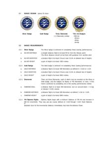 United States military badges / FAI Gliding Commission