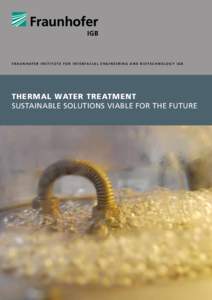 F r a u n h o fe r I n s t i t u t e f o r I n t e r f a c i a l E n gi n ee r i n g a n d B i o t e c h n o l o g y I G B  Thermal Water Treatment Sustainable solutions viable for the future  1