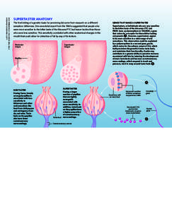 Lucy reading-ikkanda  for The SCientist, NOvember 2011 Supertaster anatomy