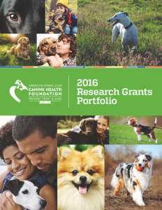 2016 Research Grants Portfolio Introduction