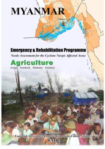 MYANMAR Emergency & Rehabilitation Programme Needs Assessment for the Cyclone Nargis Affected Areas Agriculture (crops, livestock, fisheries, forestry)