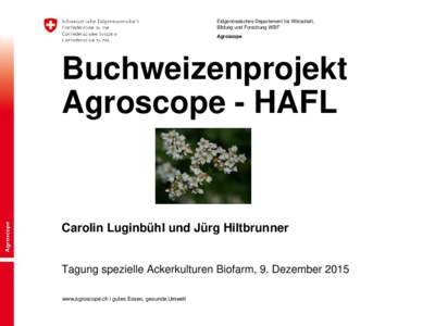 Eidgenössisches Departement für Wirtschaft, Bildung und Forschung WBF Agroscope Buchweizenprojekt Agroscope - HAFL