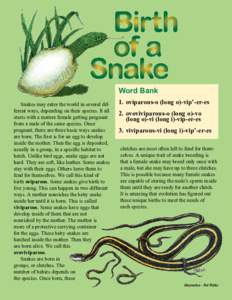 Word Bank Snakes may enter the world in several different ways, depending on their species. It all starts with a mature female getting pregnant from a male of the same species. Once pregnant, there are three basic ways s