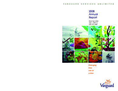 Vanguard annual report 2008