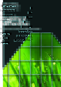 making a difference Corporate Social Responsibility report 2009  contents