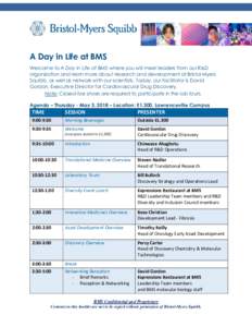 A Day in Life at BMS Welcome to A Day in Life at BMS where you will meet leaders from our R&D organization and learn more about research and development at Bristol-Myers Squibb, as well as network with our scientists. To