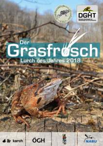 Der Grasfrosch Lurch des Jahres 2018