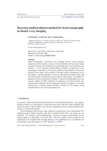 Bayesian multiresolution local tomography