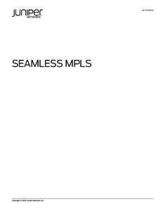 WHITE PAPER  SEAMLESS MPLS Copyright © 2010, Juniper Networks, Inc.