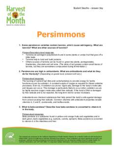 Student Sleuths – Answer Key  Persimmons 1. Some persimmon varieties contain tannins, which cause astringency. What are tannins? What are other sources of tannins? Primary/Secondary-level response: