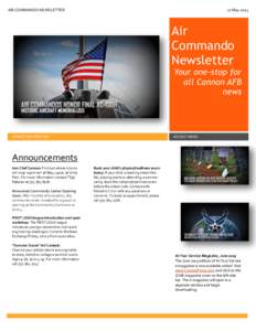 AIR COMMANDO NEWSLETTER  27 May 2015 Air Commando