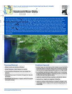 PUGET SOUND NEARSHORE ECOSYSTEM RESTORATION PROJECT (PSNERP) POTENTIAL RESTORATION SITES Nooksack River Delta  IMAGE: Google Earth (2011)