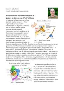 Kazuhiro ABE, Ph. D. E-mail： Structural and functional aspects of gastric proton pump, H+,K+-ATPase In response to food intake, pH of our