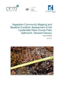 Vegetation Community Mapping and Baseline Condition Assessment of the Lauderdale Race Course Flats Saltmarsh, Derwent Estuary Vishnu Prahalad July 2012