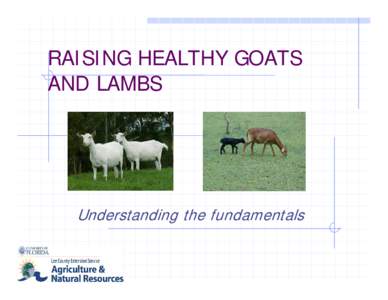 Microsoft PowerPoint - RAISING HEALTHY GOATS AND LAMBS.ppt