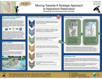 Where should I do work? Moving Towards A Strategic Approach to Nearshore Restoration Theresa Mitchell, Jenna Jewett , Randy Carman, Curtis Tanner