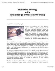 The Wolverine Foundation - Research, Teton Wolverine P...  http://www.wolverinefoundation.org/research/teton00.htm Wolverine Ecology in the