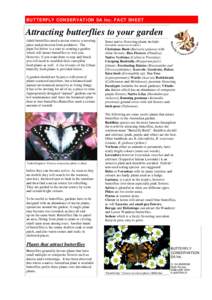 Hexapoda / Lepidoptera / Sustainable gardening / Danaus / Insect ecology / Butterflies / Butterfly gardening / Organic gardening / Monarch butterfly / Nectar source / Nectar / Danaus petilia