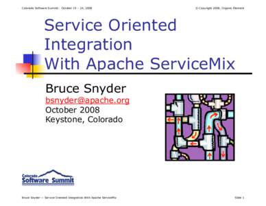 Colorado Software Summit: October 19 – 24, 2008  © Copyright 2008, Organic Element Service Oriented Integration
