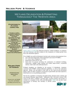 NELSON POPE & V OORHIS  Wetland Delineation & Permitting Throughout The Tri-State Area East Lyme, CT