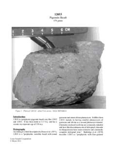 12053 Pigeonite Basalt 879 grams Figure 1: Photo of 12053,0 - about 9 cm across. NASA #S69-60624.