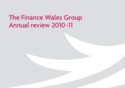 The Finance Wales Group Annual review The Finance Wales Group  Our mission