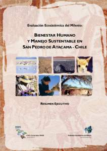 Evaluación Ecosistémica del Milenio:  BIENESTAR HUMANO Y MANEJO SUSTENTABLE EN SAN PEDRO DE ATACAMA - CHILE
