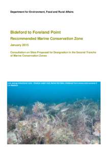 Department for Environment, Food and Rural Affairs  Bideford to Foreland Point Recommended Marine Conservation Zone January 2015 Consultation on Sites Proposed for Designation in the Second Tranche