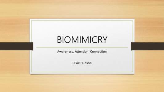 BIOMIMICRY Awareness, Attention, Connection Dixie Hudson Courtesy: Dr. Cyndi Burnett