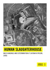 HUMAN SLAUGHTERHOUSE MASS HANGINGS AND EXTERMINATION AT SAYDNAYA PRISON, SYRIA Amnesty International is a global movement of more than 7 million people who campaign for a world