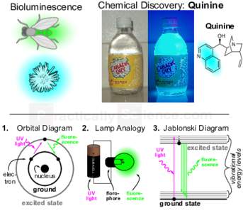 Chemical Discovery: Quinine  Bioluminescence Quinine OH