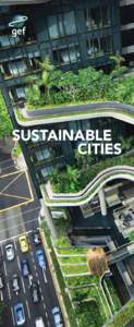 SUSTAINABLE CITIES Why Cities? Cities are the best place to start addressing three mega-trends that drive global environmental degradation: urbanization, a