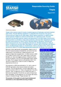 Responsible Sourcing Guide:  Tilapia AugustOreochromis niloticus