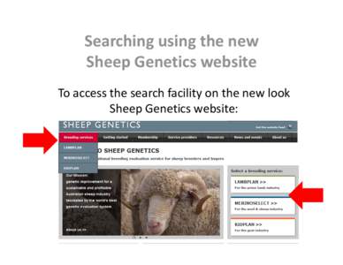 Searching using the new  Sheep Genetics website To access the search facility on the new look  Sheep Genetics website:  Select the analysis that you are interested in under 