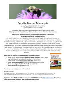 Photo: brown-belted bumble bee (Bombus griseocolis) by Peg Serani  Bumble Bees of Minnesota Sunday, August 9th, 2015, 10:00 AM to 4:00 PM Northland Arboretum, Brainerd, MN Presented by Sarah Foltz Jordan (Xerces Society)